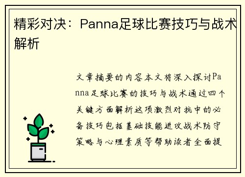 精彩对决：Panna足球比赛技巧与战术解析