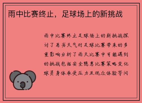 雨中比赛终止，足球场上的新挑战