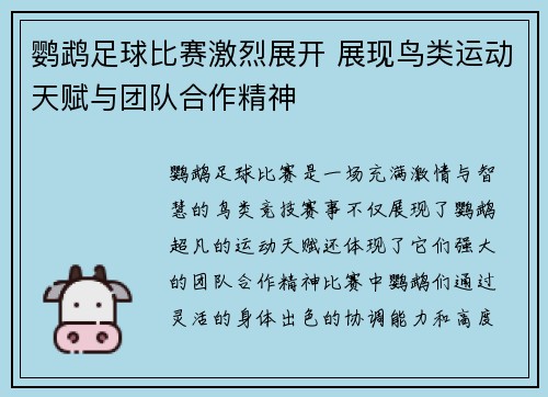 鹦鹉足球比赛激烈展开 展现鸟类运动天赋与团队合作精神
