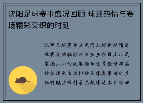 沈阳足球赛事盛况回顾 球迷热情与赛场精彩交织的时刻