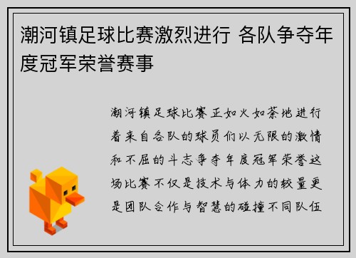 潮河镇足球比赛激烈进行 各队争夺年度冠军荣誉赛事
