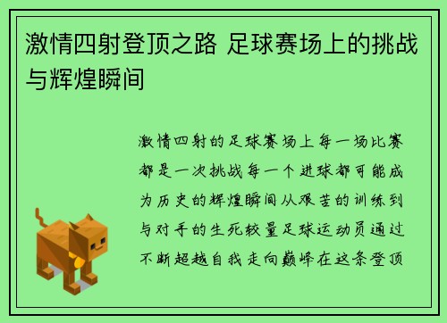 激情四射登顶之路 足球赛场上的挑战与辉煌瞬间