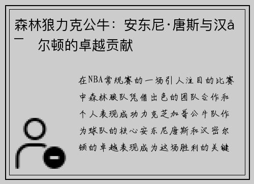 森林狼力克公牛：安东尼·唐斯与汉密尔顿的卓越贡献