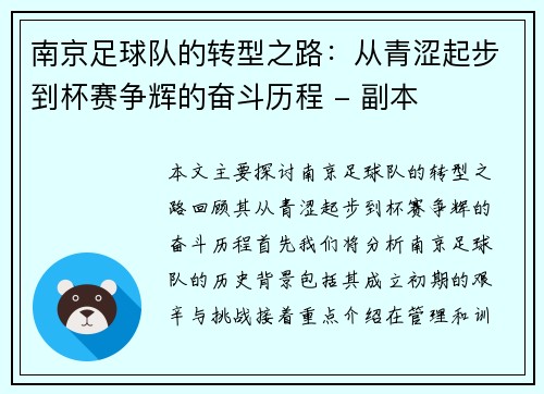 南京足球队的转型之路：从青涩起步到杯赛争辉的奋斗历程 - 副本